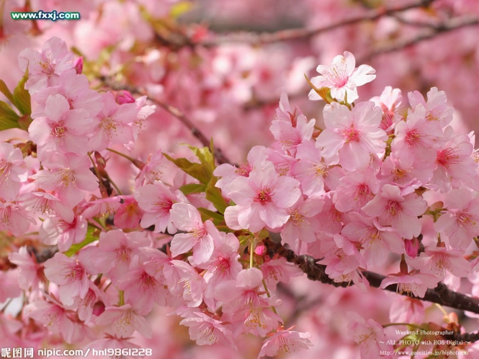 儿歌PPT：春风_第3页