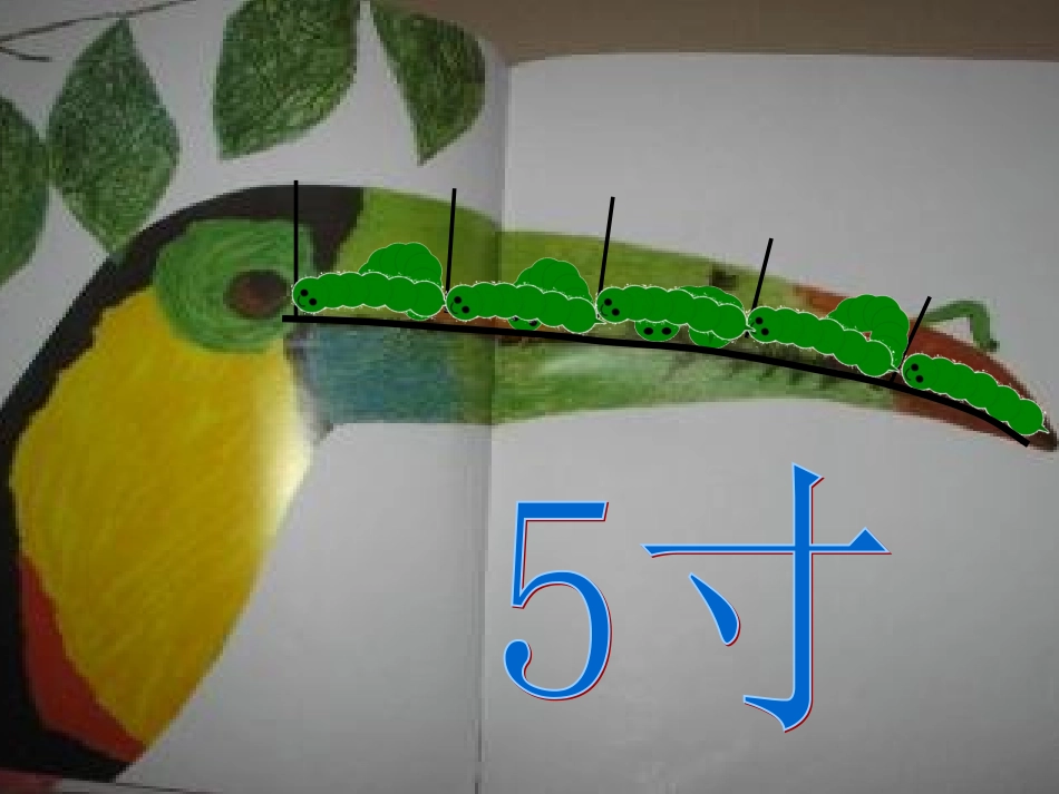 大班数学：一寸虫_第3页