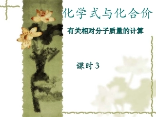 根据化学式的计算