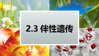 伴性遗传定课件