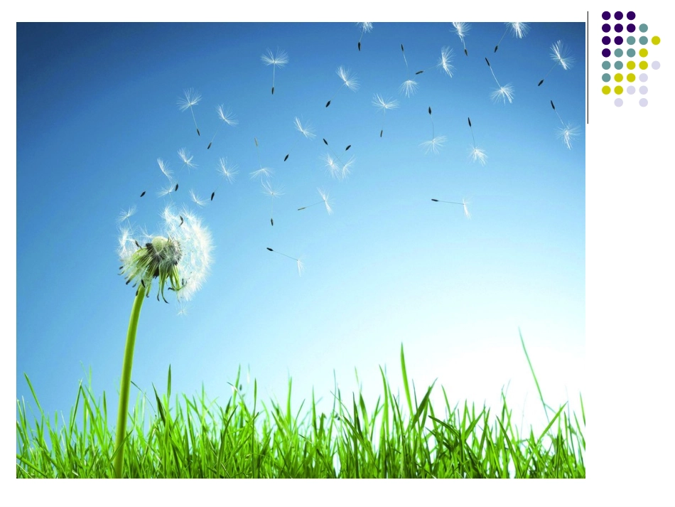 大班科学课件：种子的旅行_第3页