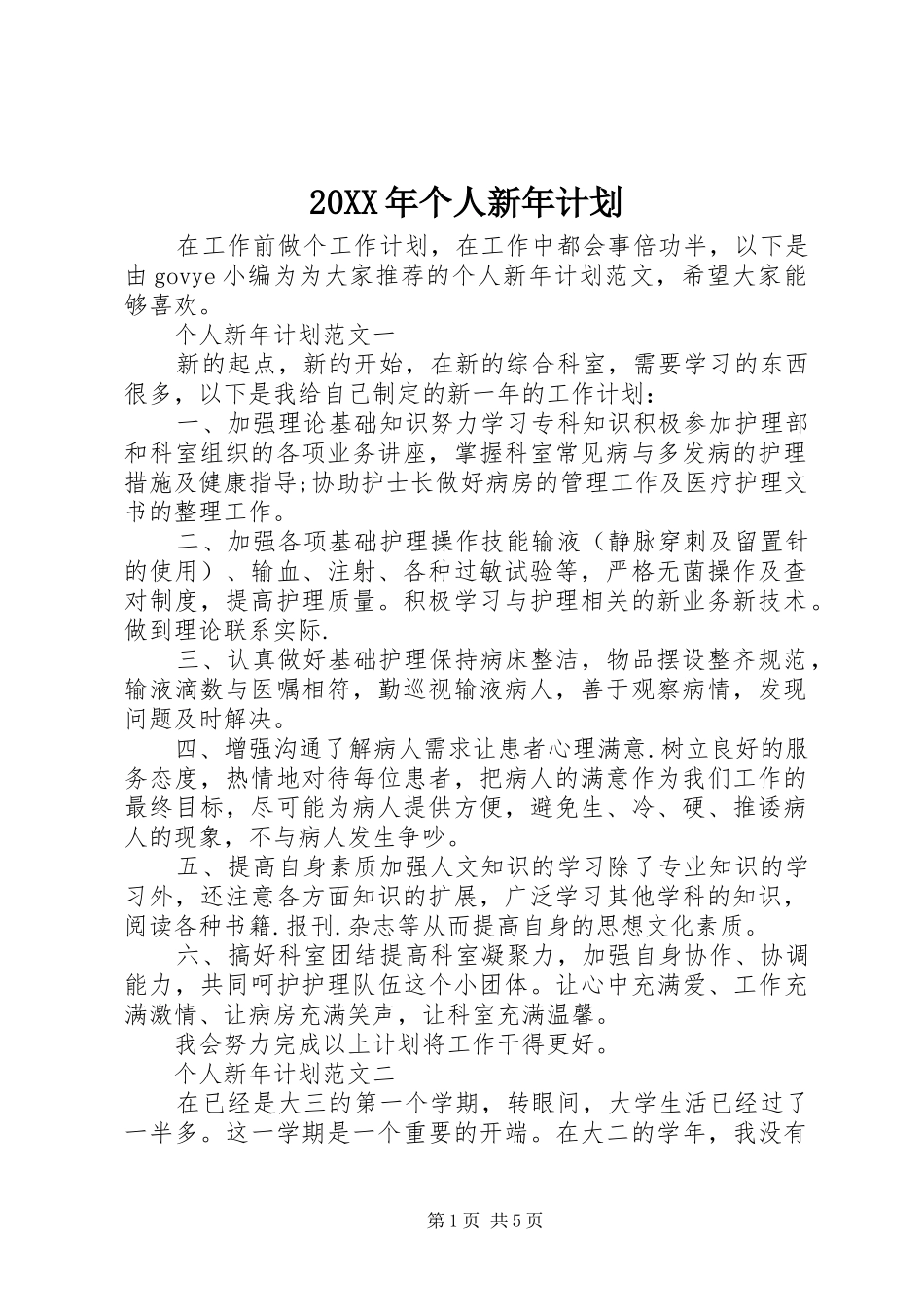 20XX年个人新年计划_第1页