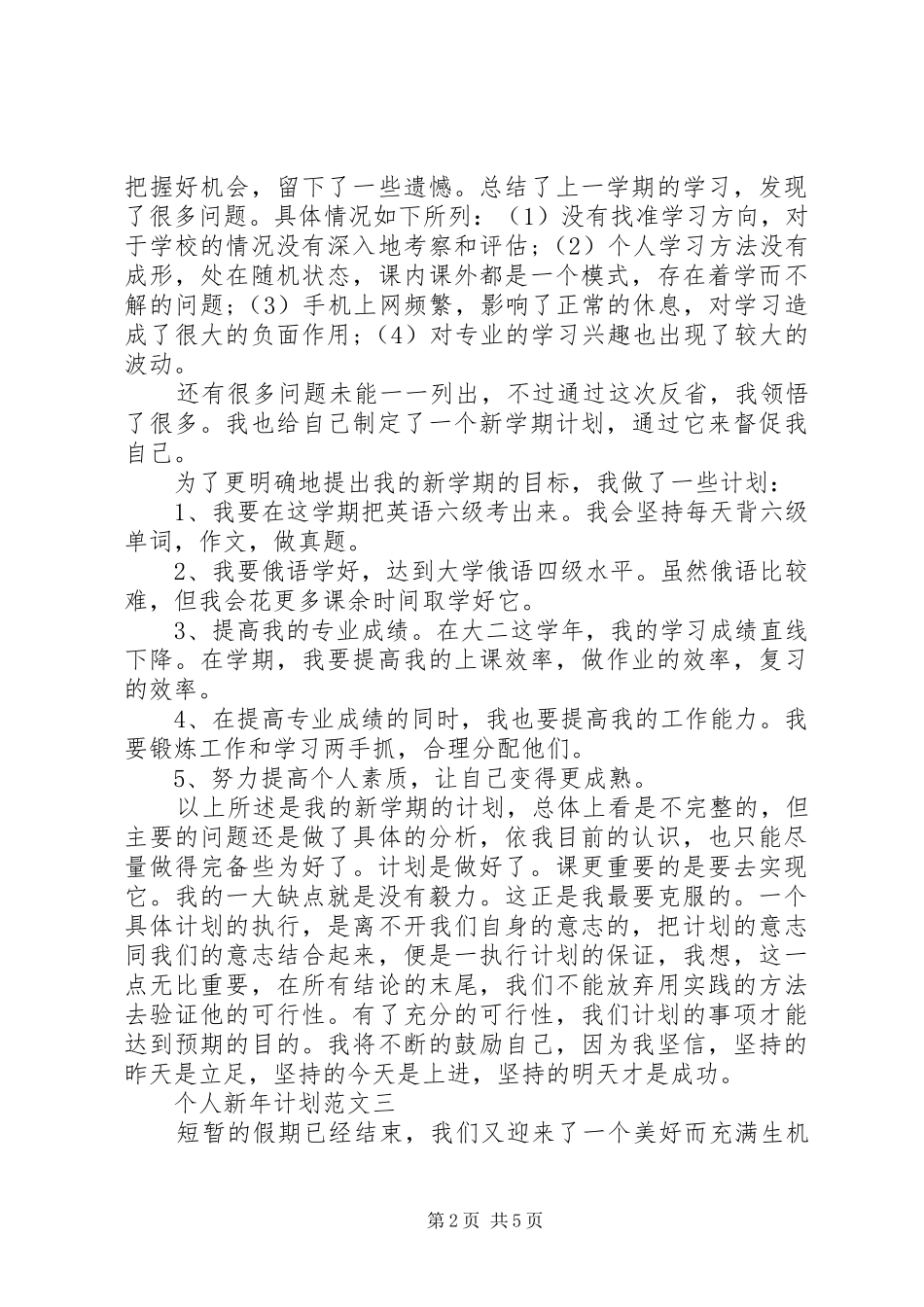 20XX年个人新年计划_第2页