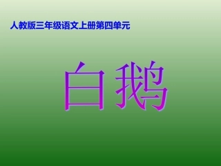 三年级下册《白鹅》PPT课件四（3）
