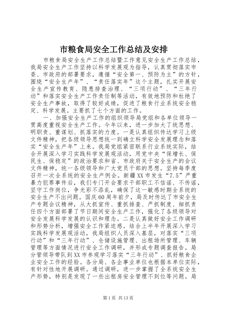 市粮食局安全工作总结及安排 _第1页