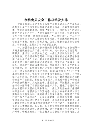 市粮食局安全工作总结及安排 