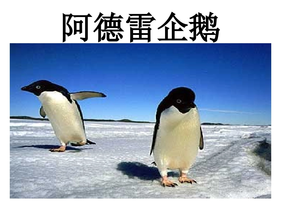 《三个太阳》_第2页