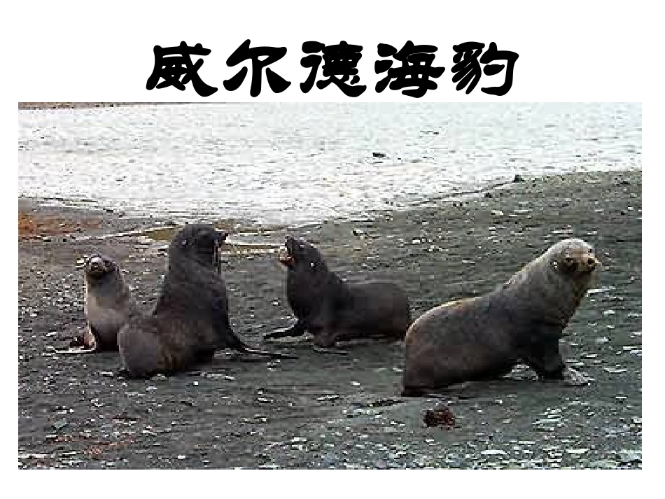 《三个太阳》_第3页