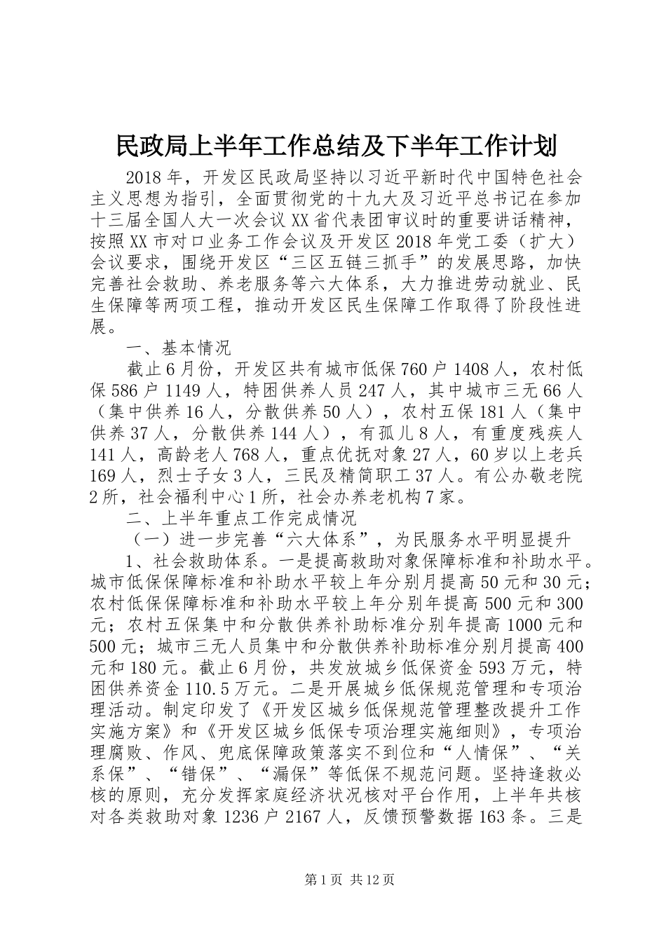 民政局上半年工作总结及下半年工作计划 _第1页