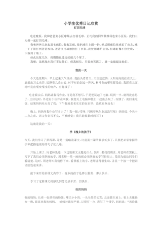 小学生优秀日记欣赏