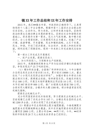 镇XX年工作总结和XX年工作安排 