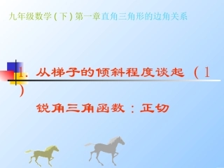 从梯子的倾斜程度谈起锐角三角函数正切与余切