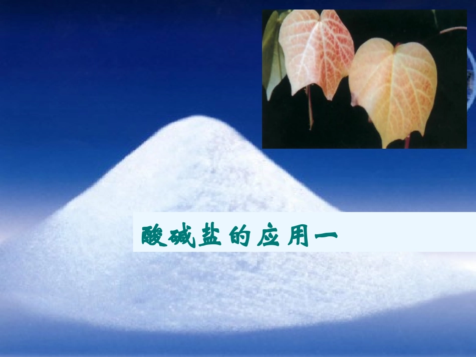 江苏地区初三化学酸碱盐的应用一 沪教版 课件_第1页