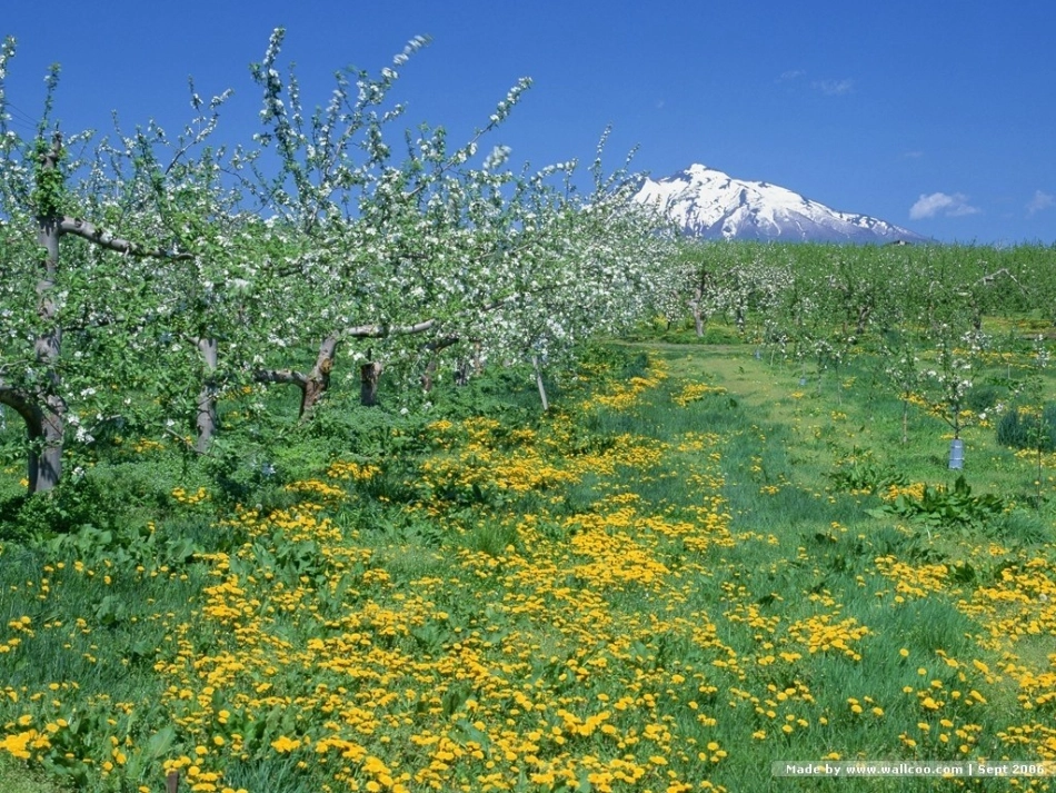 宿新市徐公店_第3页