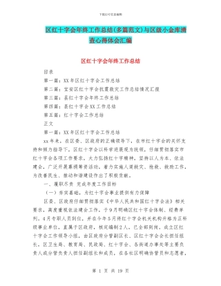 区红十字会年终工作总结与区级小金库清查心得体会汇编