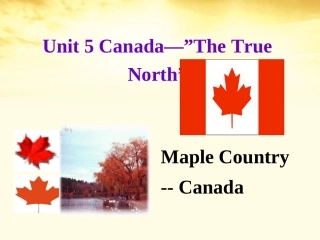 高中英语 3Unit5 Cannada-The True North课件 新人教版必修1 课件