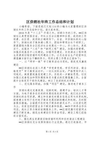 区供销社年终工作总结和计划 