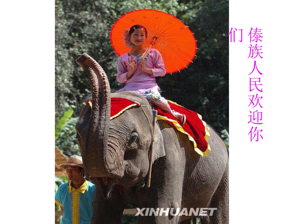 二年级下册《金孔雀轻轻跳》_第2页