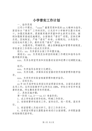 小学普实工作计划 