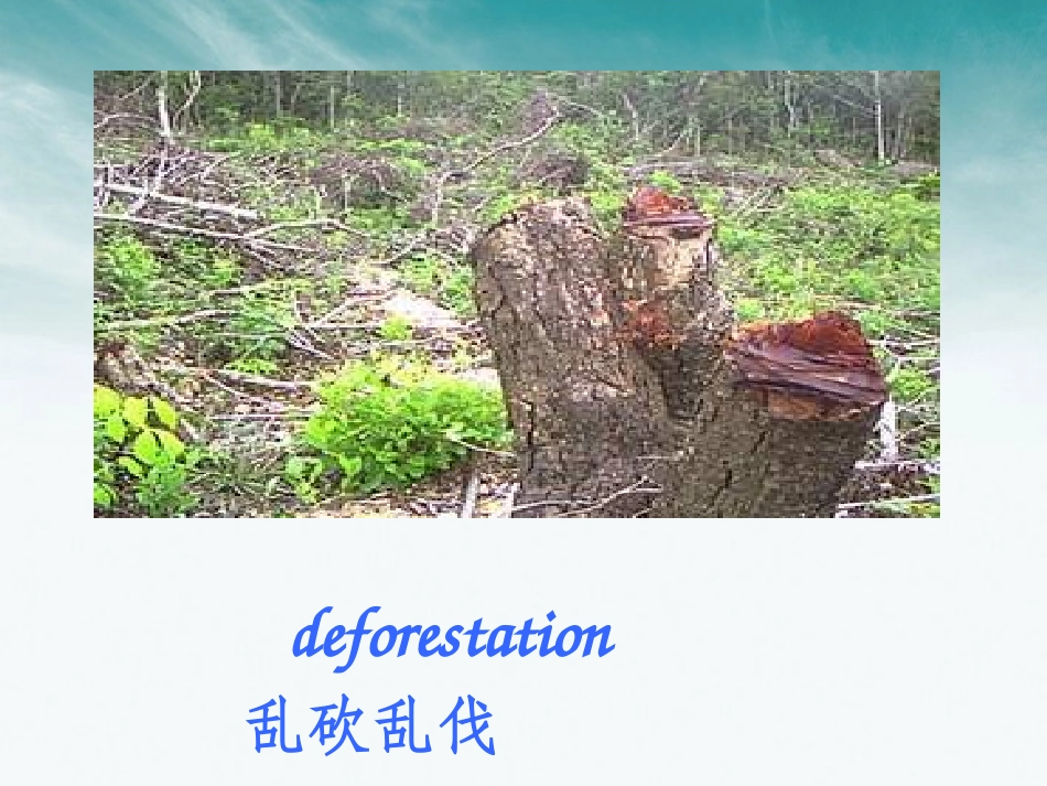 高考英语 environmental protection课件 新人教版 课件_第2页