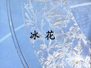《冰花》课件 (2)