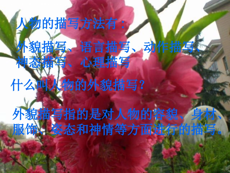 如何写好人物的外貌_第3页