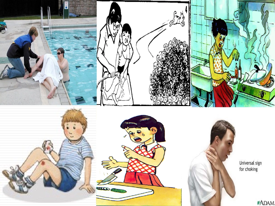 高二英语Unit8 Reading First aid 新课标 人教版 课件_第3页