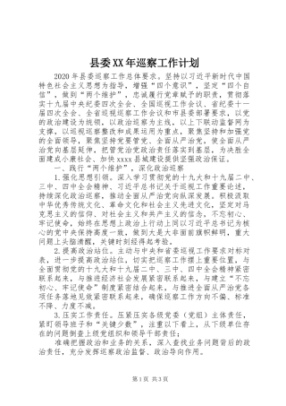 县委XX年巡察工作计划 