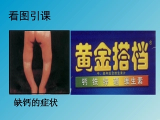 化学元素与健康教案