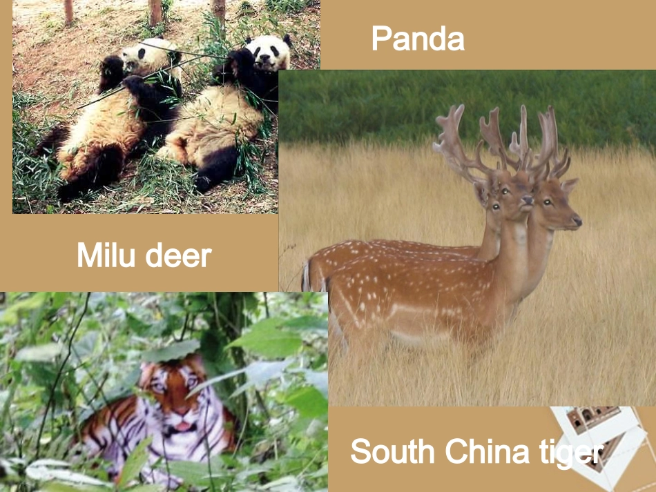 高中英语 Unit4 Language Points2课件 新人教版必修2 课件_第2页