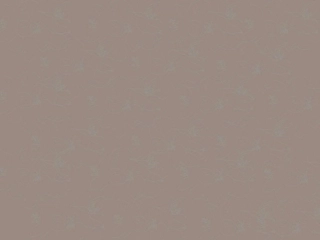 高中英语 Unit1 Getting along with others Task 1精品课件 牛津译林版必修5 课件