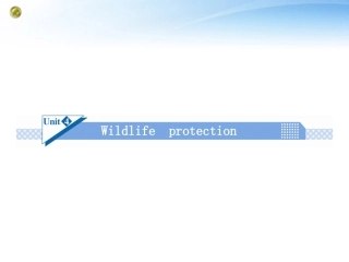 高考英语一轮总复习 Unit4 Wildlife protection课件 新人教版必修2 课件