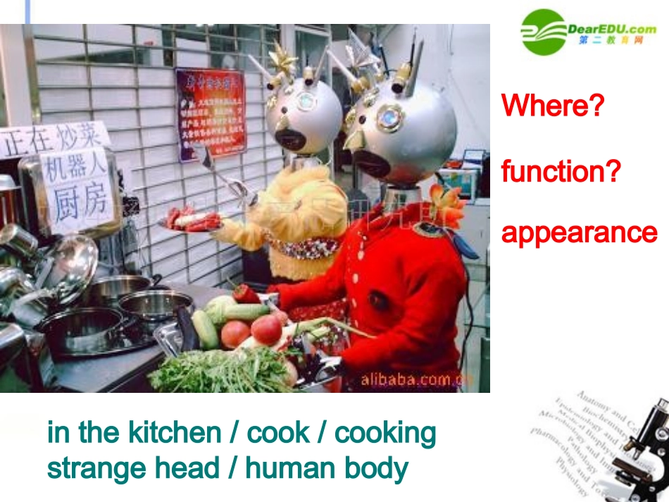 高中英语 Unit3 Reading课件 新人教版必修2 课件_第3页