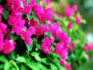 夏天和冬天确定