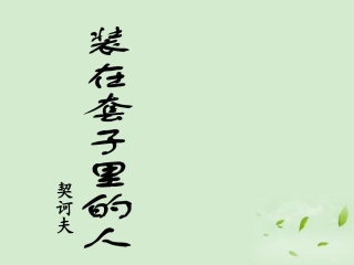 高二语文(装在套子里的人)课件3 课件