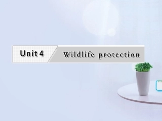 高考英语复习 Unit4 Wildlife Protection专题课件 新人教版必修2 课件