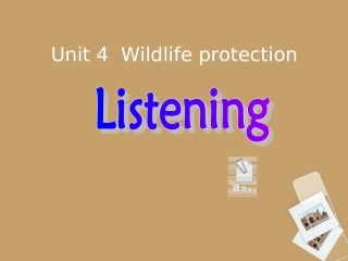 高中英语 Unit4 Listening exercise课件 新人教版必修2 课件
