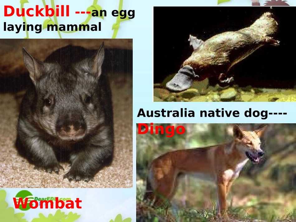 高中英语 Module 3 课件 外研版选修9 课件_第2页