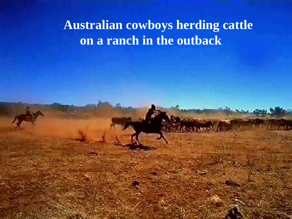 高中英语 Module 3 课件 外研版选修9 课件_第3页