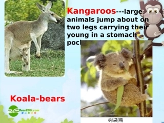 高中英语 Module 3 课件 外研版选修9 课件