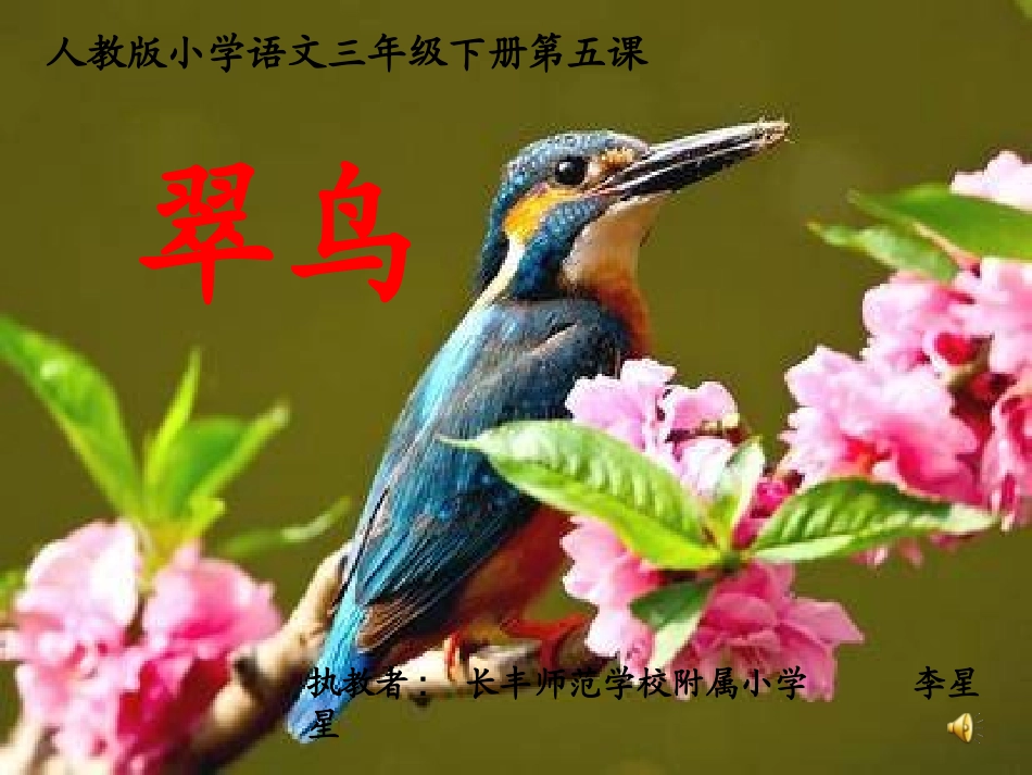 《翠鸟》微课_第2页