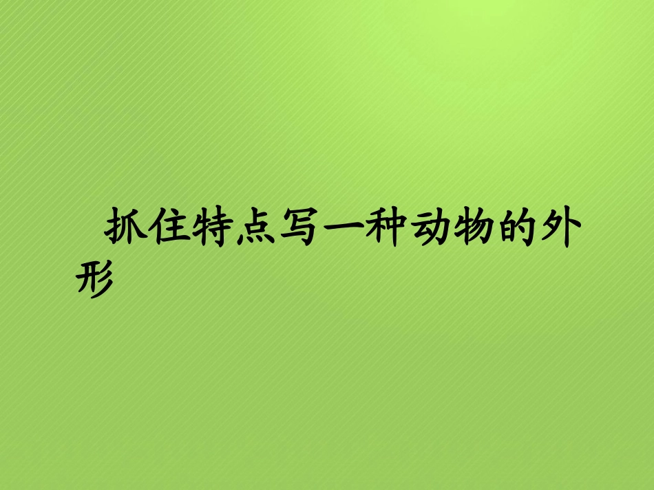 《翠鸟》微课_第3页