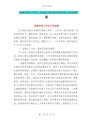 区统计局上半年工作总结与区统计局年终工作总结汇编