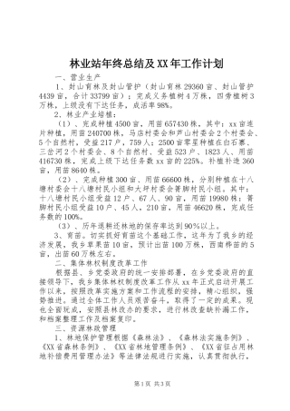 林业站年终总结及XX年工作计划 
