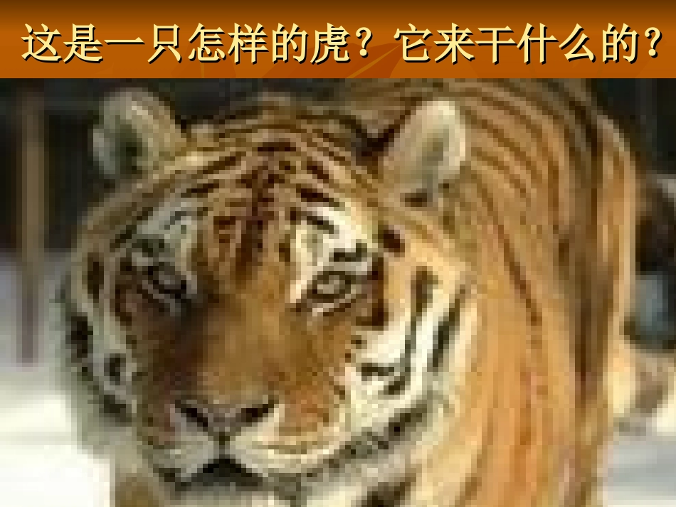 《武松打虎》课件_第3页