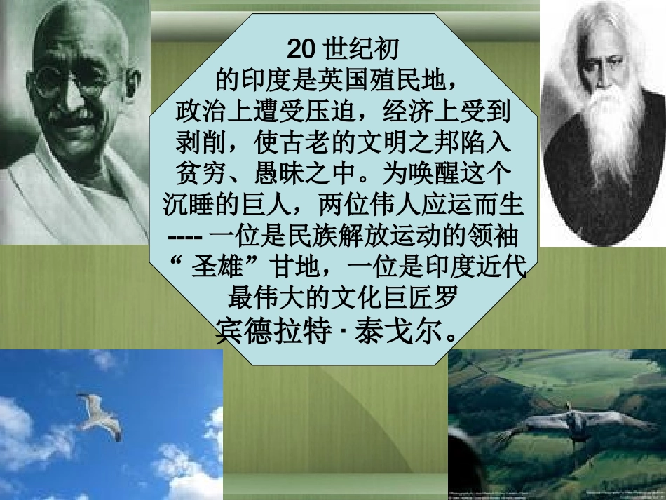 高中语文(素芭)课件 新人教版选修 课件_第2页