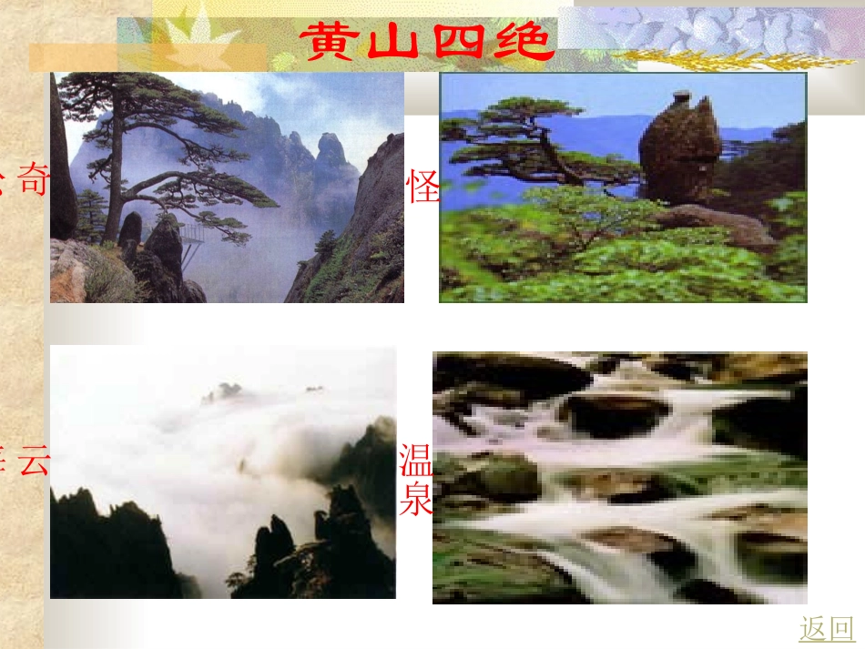 《黄山奇松》课件_第3页