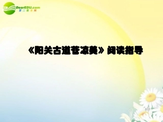 高考语文阅读指导复习课件 新人教版 课件
