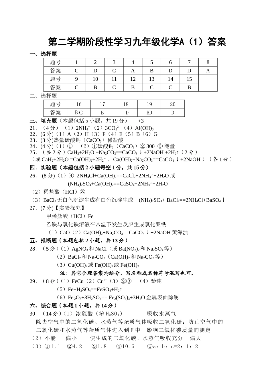 九年级化学第二学期考试（A1,A2,B1,B2,C1,C2,D1,D2)答案_第1页