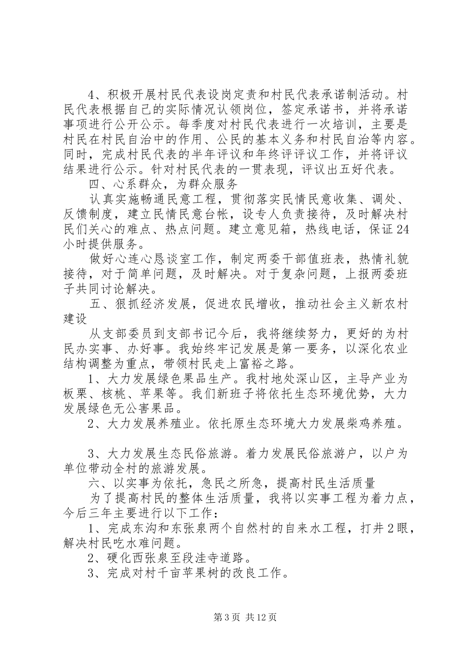 20XX年村党支部工作计划范文 (4)_第3页